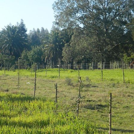 Casa De Campo Lo De Fatsia 科洛尼亚-德尔萨克拉门托 客房 照片
